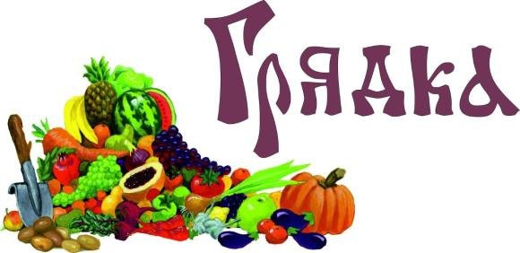 Настройка сервис-деск для крупной розничной сети Грядка