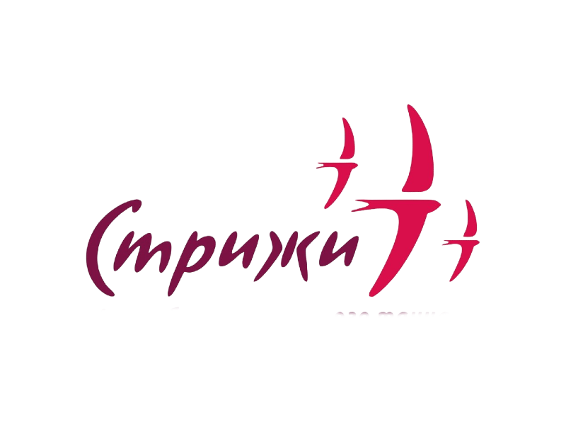 Внедрение Битрикс24 для компании «Стрижи»